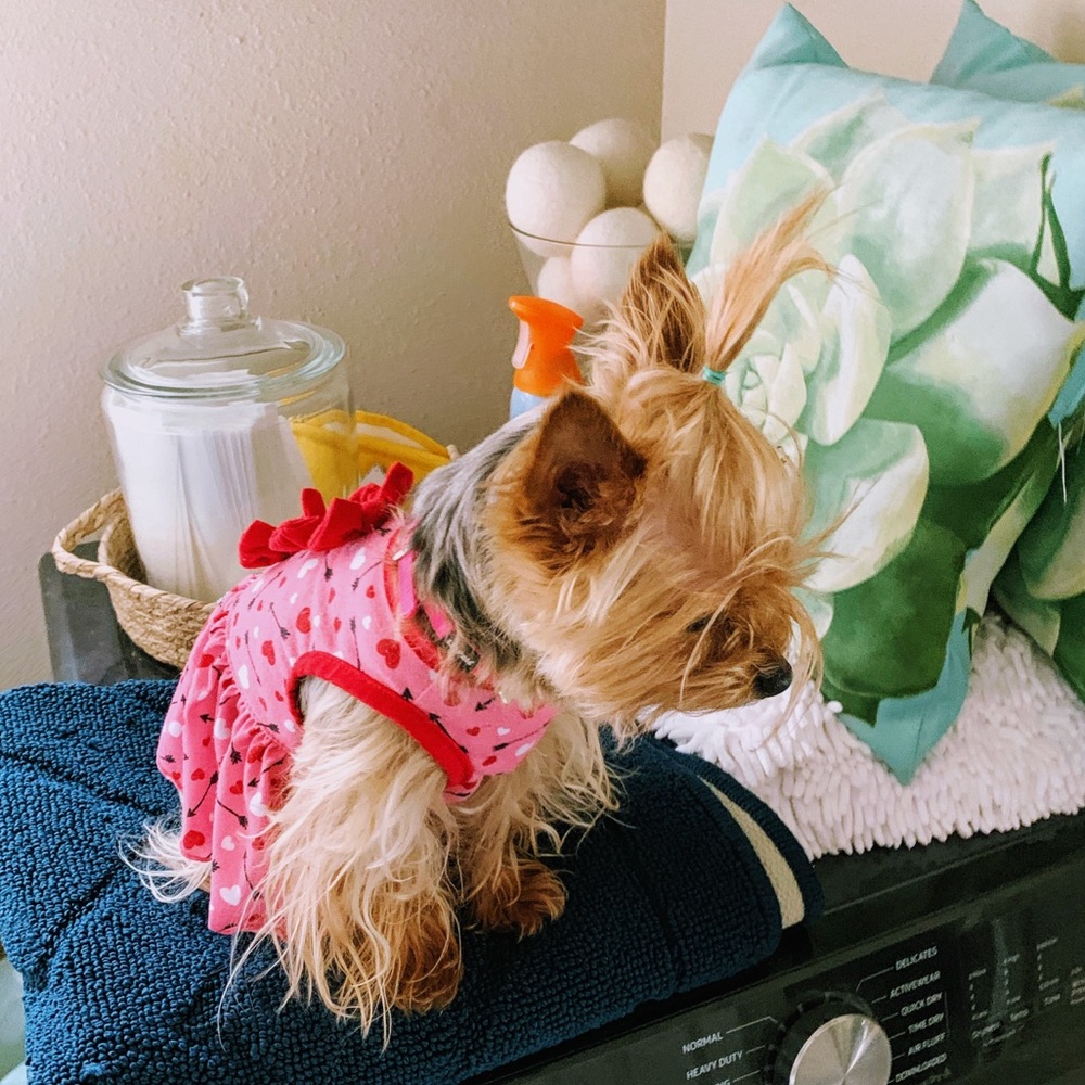 Meet your Posher, Unicorn